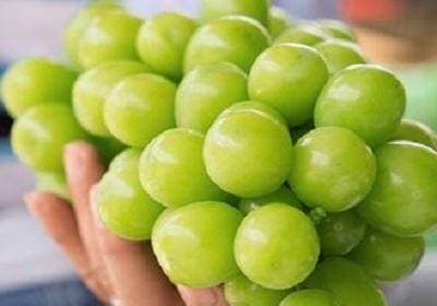 nho, lợi ích của ăn nho, ai không nên ăn nho