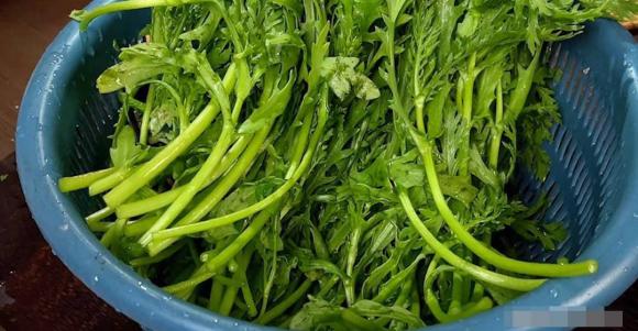 nước uống, nước đung sôi, ung thư