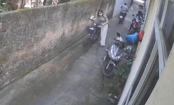 não cá vàng, biểu hiện của não cá vàng, giới trẻ 