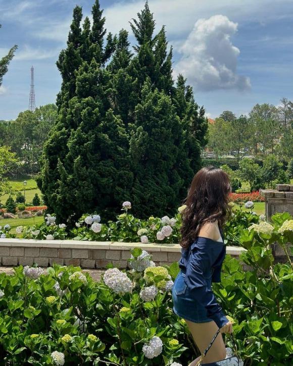 quyền linh, sao việt 