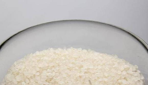 bảo quản gạo, bảo quản gạo đúng cách, mọt gạo