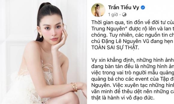 tiểu vy, sao việt, hoa hậu tiểu vy 