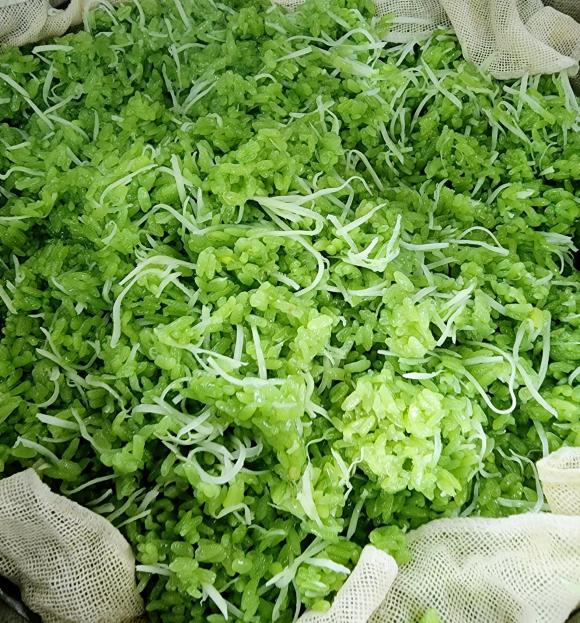 xôi xoài, công thức xôi xoài, món ngon từ xôi xoài