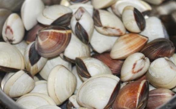 canh ngao, ngao nhả cát, làm sao để ngao nhả cát 