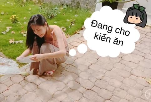 ca sĩ Thủy Tiên, sao Việt