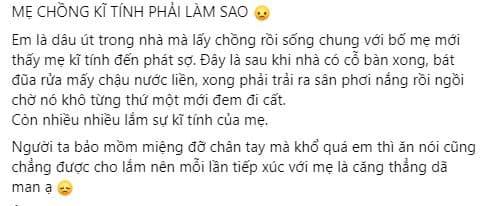mẹ chồng, mẹ chồng kỹ tính, giới trẻ 