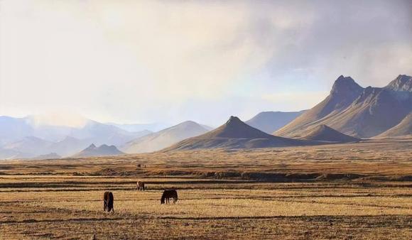 Bạn không nên đốt lửa để sưởi ấm vào ban đêm ở vùng đất hoang Tây Tạng, nó có thể nguy hiểm đến tính mạng! Tại sao điều đó lại kỳ lạ?