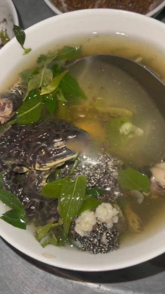 canh ếch đồng, ếch đồng, món ếch 