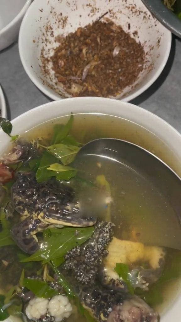 canh ếch đồng, ếch đồng, món ếch 