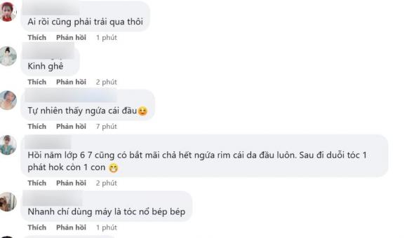 con chấy, chấy ở trên tóc, nguyên nhân bị chấy