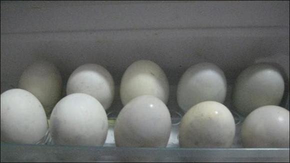 Trứng vịt lộn dùng uống bia trong mùa hè cực hợp, mẹo chọn mua trứng vịt lộn ngon, không bị già và ung