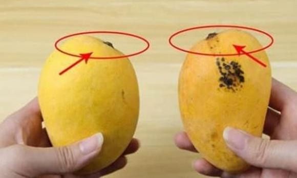 Mẹo vặt, mẹo hay, mẹo bổ trái cây