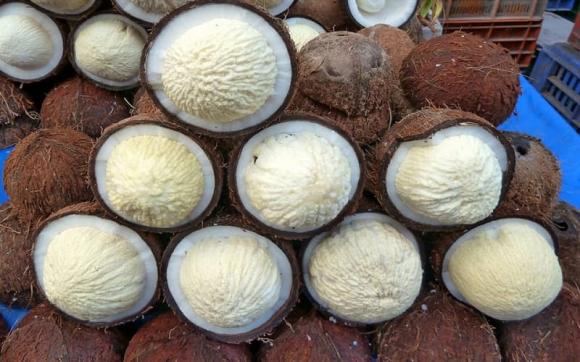 Phần lõi trắng trong quả dừa khô thường bị vứt đi, nay là đặc sản hiếm có khó tìm