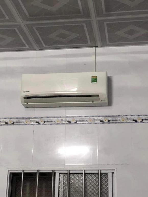 điều hoàn, rắn bò điều hòa, giới trẻ 