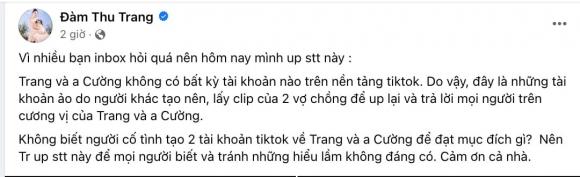 nữ ca sĩ đàm thu trang,doanh nhân cường đô la,sao Việt