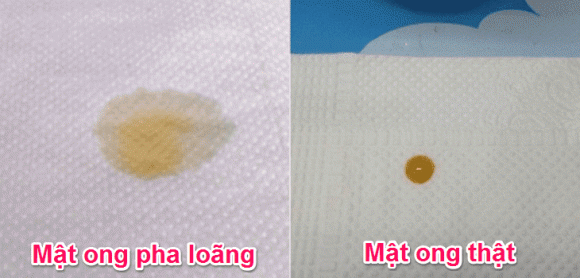 mật ong thật, mật ong giả, kiến thức 