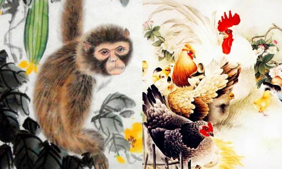 tử vi, cặp đôi con giáp, con giáp hợp nhau