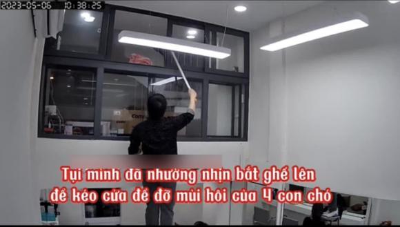 chó phóng uế khắp nơi, chủ nhà khó tính, ở bẩn