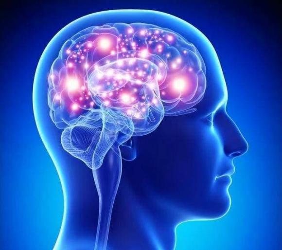 sau khi chết, bộ não, ý thức,