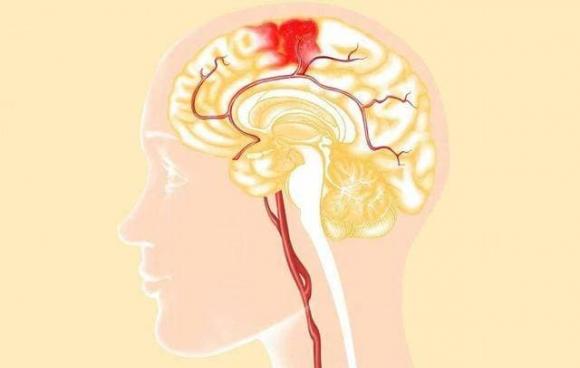 sau khi chết, bộ não, ý thức,