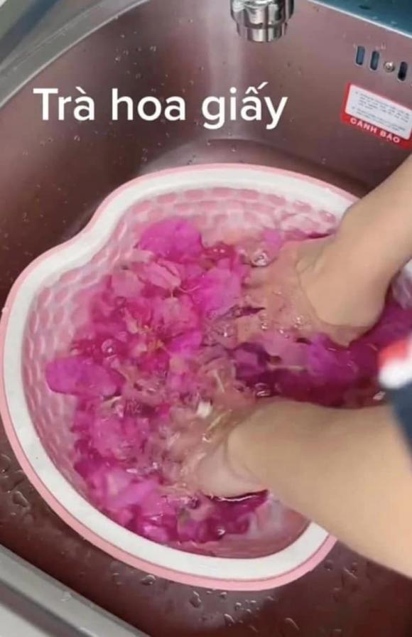 hoa giấy, trà hoa giấy, cách làm trà hoa giấy 