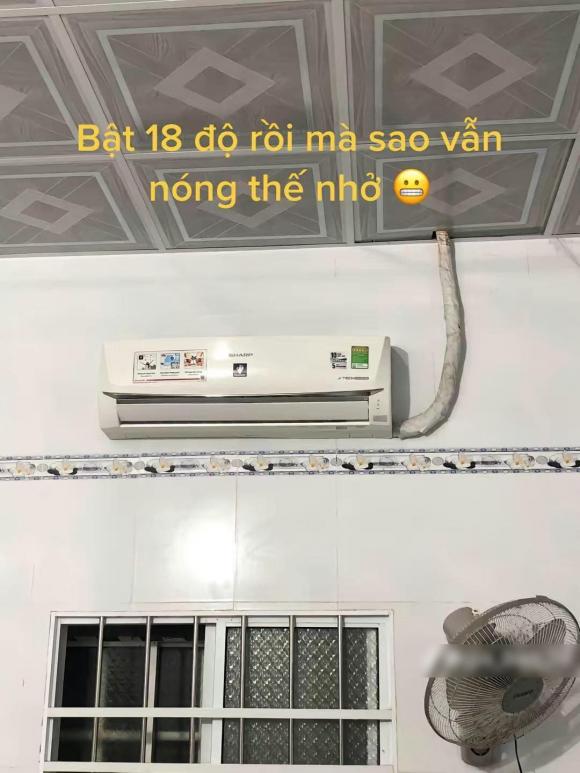 điều hòa, rắn sống trong điều hòa, sửa điều hòa