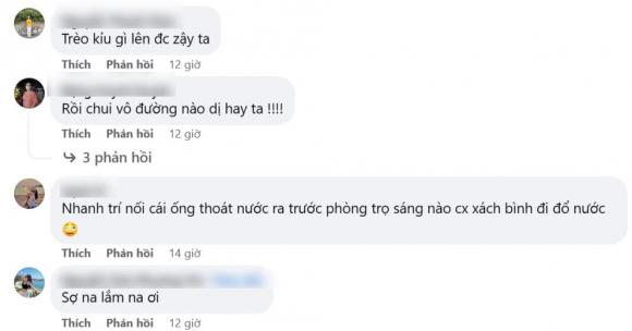 điều hòa, rắn sống trong điều hòa, sửa điều hòa