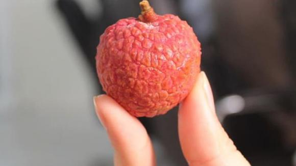 Vải thiều được xem là 'BHA của da', khi mua đừng chọn quả đỏ, biết một điểm sẽ chọn được quả ngọt, cùi dày, hạt bé