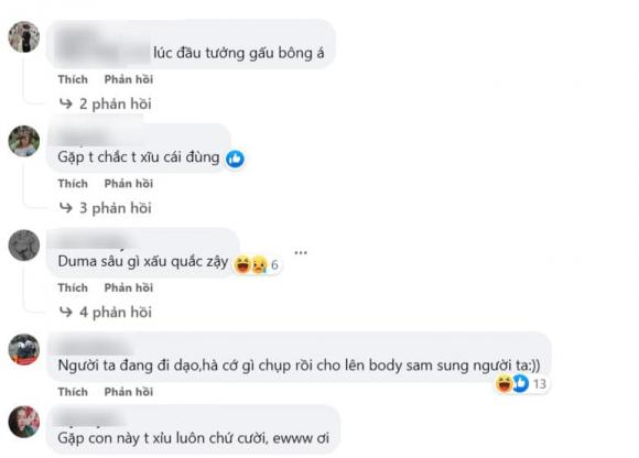 côn trùng, con sâu, sâu mặt lạ