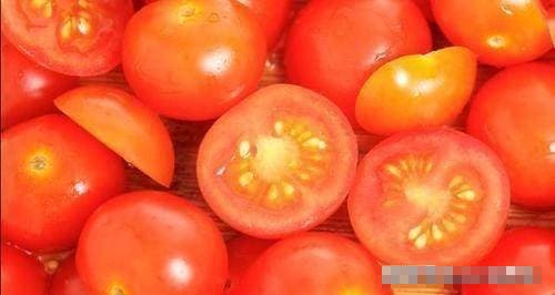 Khi mua cà chua bạn phải chọn giống “cái” có vị ngọt, mọng nước. Hãy tham khảo 4 địa điểm này để lựa chọn nhé!