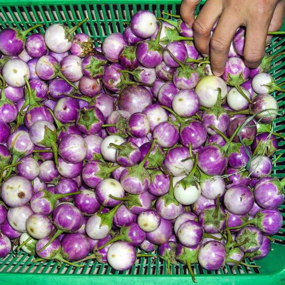 cà pháo dầm cay, cách làm cà pháo dầm cay, món ngon 
