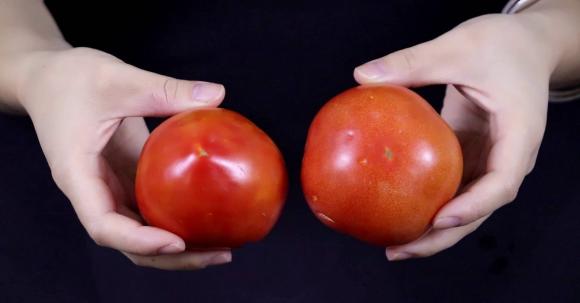 Hãy nhớ 3 điểm này, dễ dàng nhận biết cà chua chín có chất làm chín, tránh xa cà chua có nội tiết tố, tốt cho sức khỏe