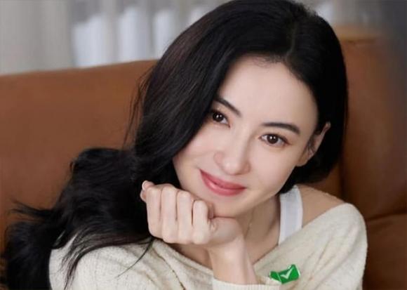 Tạ Đình Phong, Trương Bá Chi, sao Hoa ngữ, lý do ly hôn của Tạ Đình Phong và Trương Bá Chi
