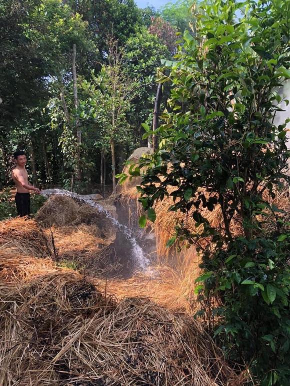 phơi lúa, phơi lúa ngày nắng, trẻ con nghịch