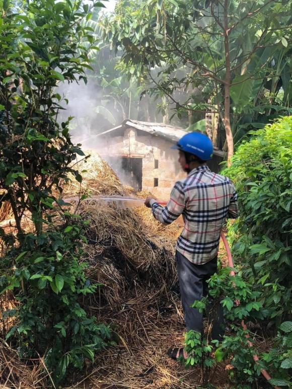 phơi lúa, phơi lúa ngày nắng, trẻ con nghịch