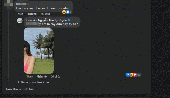 kỳ duyên, sao việt 