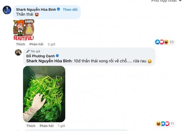 diễn viên Phương Oanh, Shark Bình, sao Việt