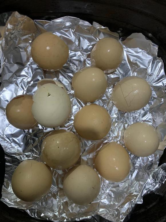 vỏ trứng, biến vỏ trứng thành phân bón, vỏ trứng gà