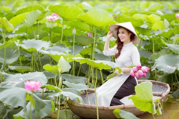 Đang mùa sen nở, mách bạn một vài địa điểm chụp sen cực đẹp đang hot tại Hà Nội