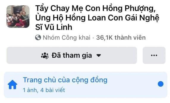 Hồng Phượng, Vũ Linh, sao Việt