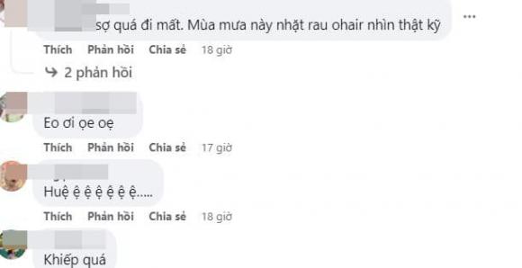 miến trộn, miến trộn có giun, giới trẻ 