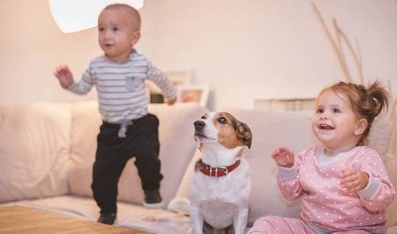Sự khác biệt giữa gia đình có một con và gia đình hai con, nên sinh mấy con, có nên sinh một con