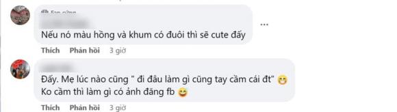 chuột ăn vụng, con chuột, chuột ăn cơm trong nồi