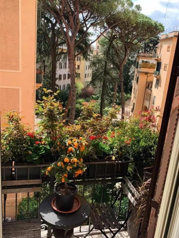 hoa hậu Ngô Mỹ Uyên,sao Việt