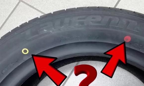 vây cá mập, vây cá mập trên xe ô tô, tác dụng của vây cá mập trên xe hơi