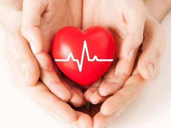 sức khỏe, chăm sóc sức khỏe, Nhịp tim có liên quan đến tuổi thọ?