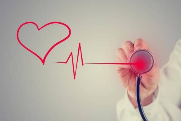 sức khỏe, chăm sóc sức khỏe, Nhịp tim có liên quan đến tuổi thọ?