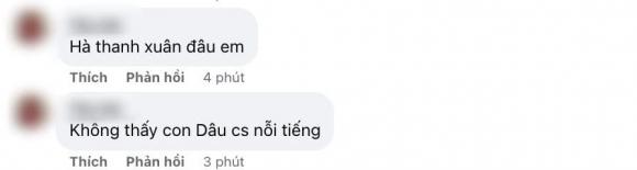Thắng Ngô, Hà Thanh Xuân, sao Việt