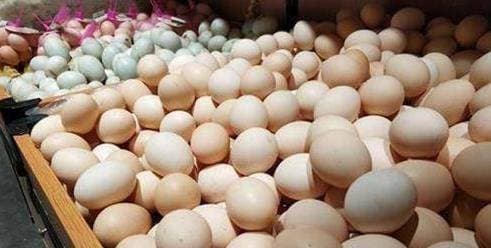 Mua trứng nên chọn vỏ đỏ hay vỏ trắng? Nhân viên bán hàng lỡ miệng, đừng mua nhầm lần nữa!