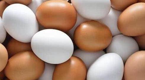 mua trứng, trứng vỏ đỏ, trứng vỏ trắng